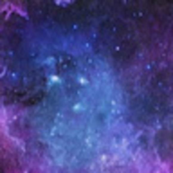 Meet your Posher, Lucy - Picture 1 of 1